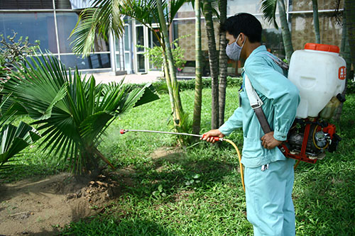 Dịch vụ diệt côn trùng - Công Ty TNHH Trung Tâm Dịch Vụ Việc Làm Bến Cát